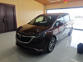 别克GL8 2022款 ES陆尊 653T 舒适型