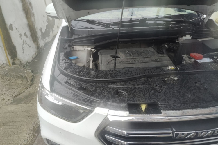 哈弗H6 2021款 运动版 1.5T 自动精英智联型 六边形格栅局部细节9006