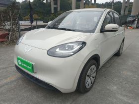 五菱汽车 五菱缤果 2024款 203km 轻享款