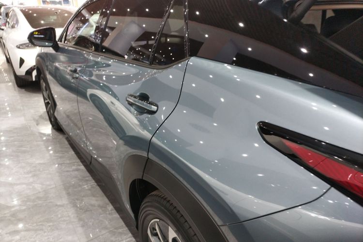 雷克萨斯RZ 2023款 450e 四驱纵享版车身外观4