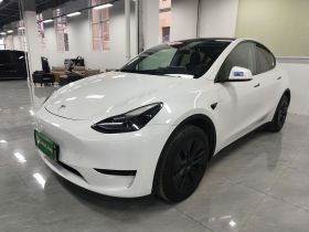 特斯拉 Model Y 2024款 后轮驱动版
