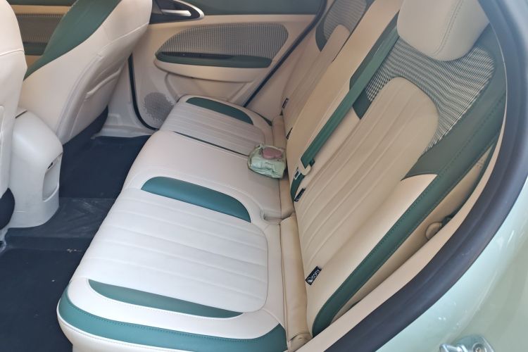 欧拉好猫 2023款 401km标准续航 豪华型 磷酸铁锂中控内饰21