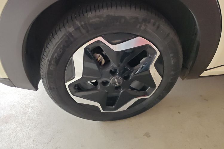 比亚迪 海豚 2021款 405km 时尚版车身外观6008