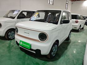 吉利银河 2024款 熊猫mini 200km 耐力熊