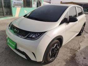 比亚迪 海豚 2025款 420km 活力版