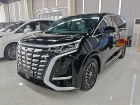 腾势D9 2022款 DM-i 970 四驱旗舰型