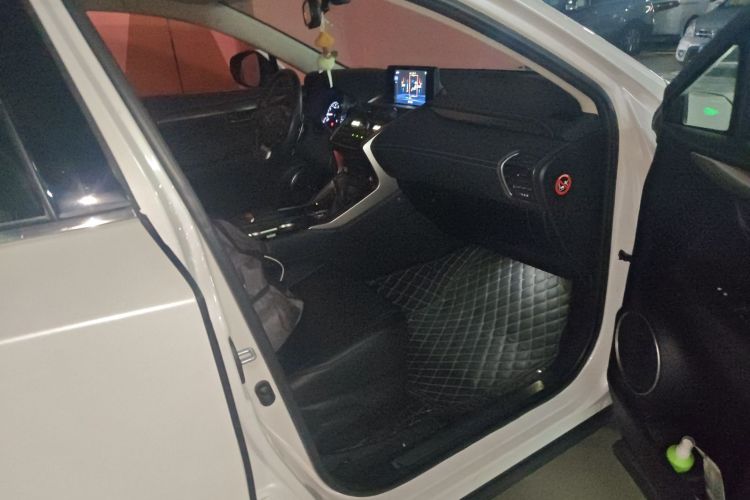 雷克萨斯NX 2018款 200 前驱 锋行版 国V局部细节9005