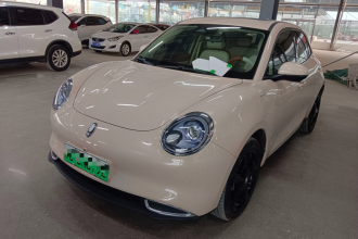 欧拉好猫 2024款 401km 豪华型