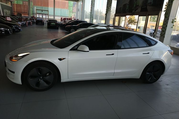 特斯拉 Model 3(进口) 2019款 标准续航后驱升级版(60度)车身外观6003