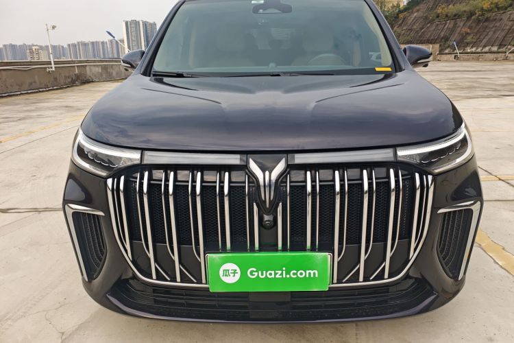 岚图汽车 岚图梦想家 2022款 低碳版 梦+智享包车身外观6001