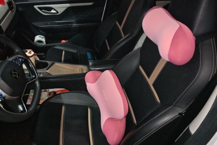 思皓 2022款 花仙子款 四叶草局部细节19