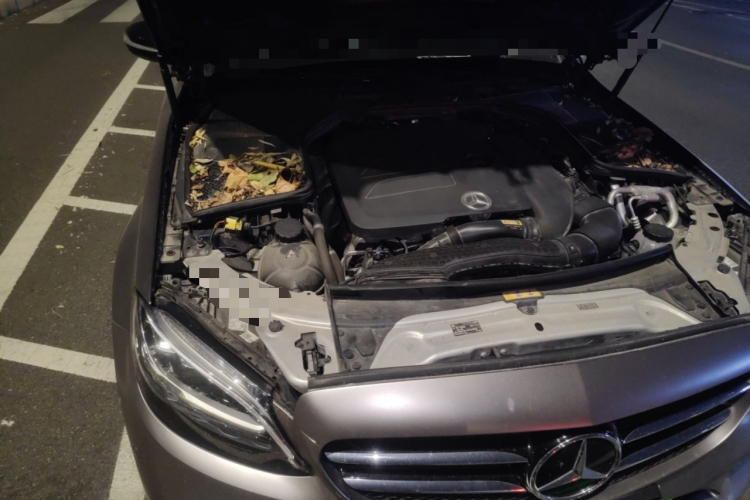 奔驰C级 2020款 C 260 运动版局部细节9006