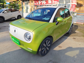 欧拉黑猫 2021款 351km 标准型