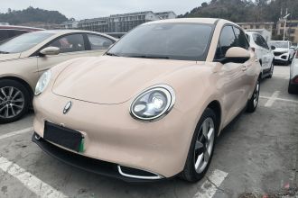 欧拉好猫 2023款 401km标准续航 豪华型 三元锂