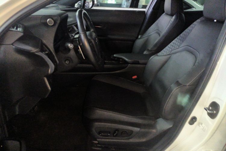 雷克萨斯UX新能源 2020款 300e 纯·悦版中控内饰19