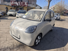 五菱汽车 宏光MINIEV 2025款 四门版 进阶款