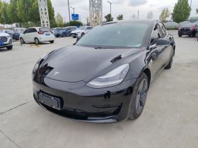 特斯拉 Model 3 2020款 标准续航后驱升级版