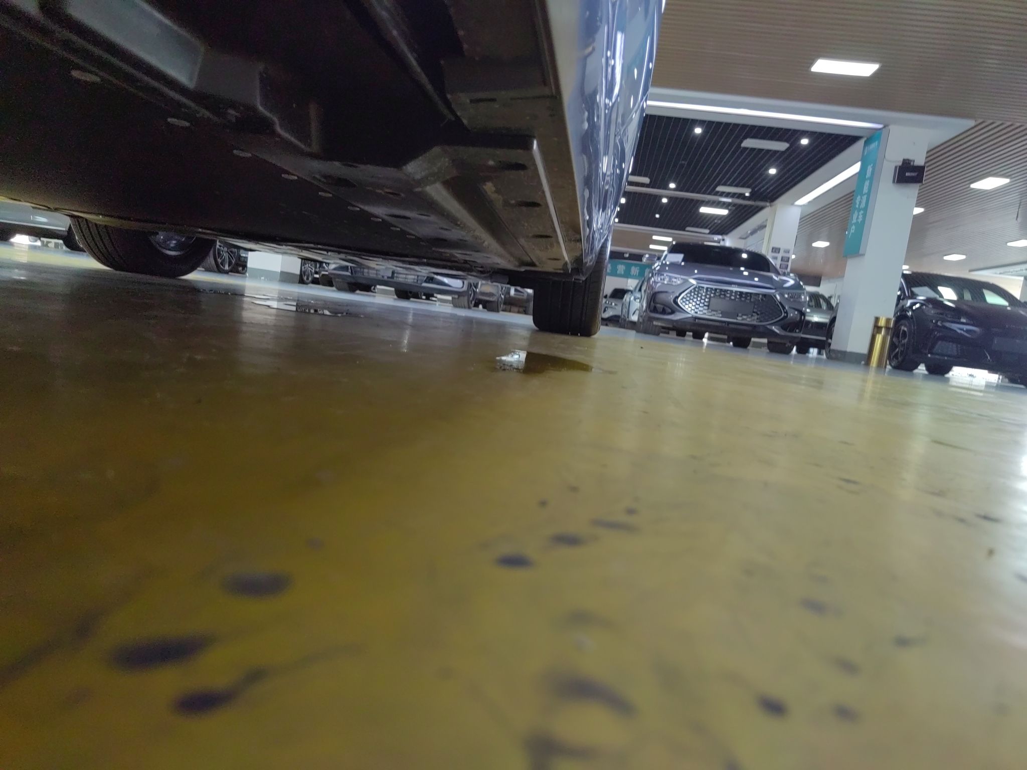 比亚迪 秦PLUS 2024款 荣耀版 EV 510KM卓越型