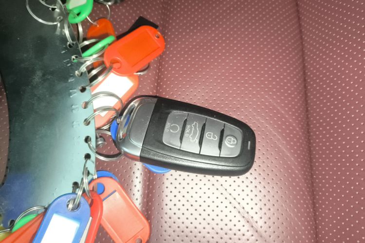 红旗E-HS9 2022款 660km 旗畅版 六座中控内饰11