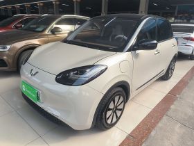 五菱汽车 五菱缤果 2023款 333km 灵犀互联+款