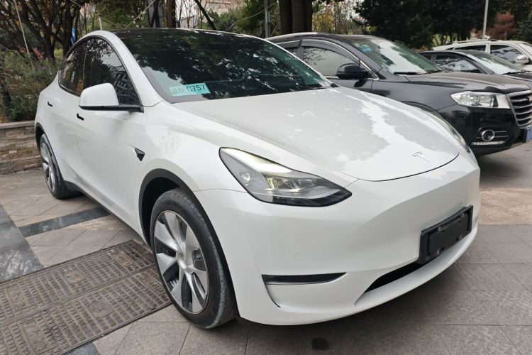 特斯拉 Model Y 2021款 标准续航后驱版车身外观6002