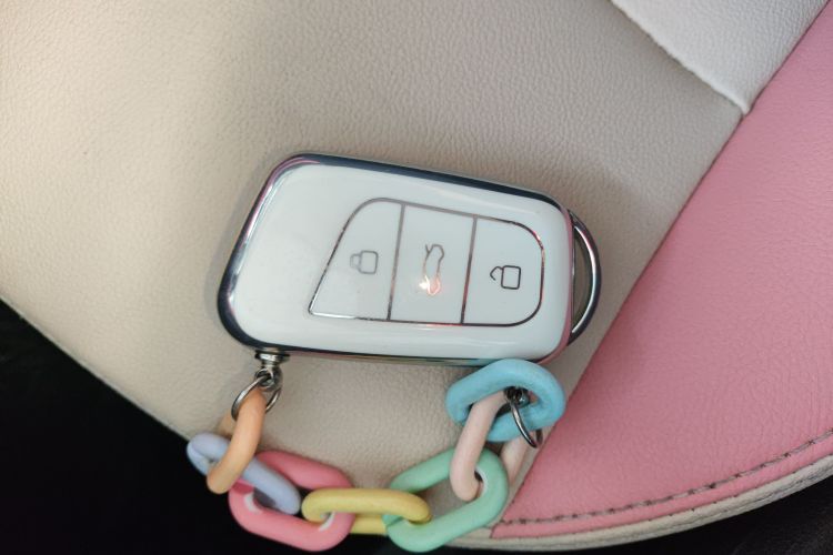 奇瑞 小蚂蚁 2021款 15万蚁粉款 新蚁酷版 三元锂中控内饰7001