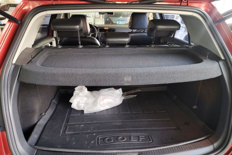 大众 高尔夫 2016款 230TSI 自动豪华型局部细节23