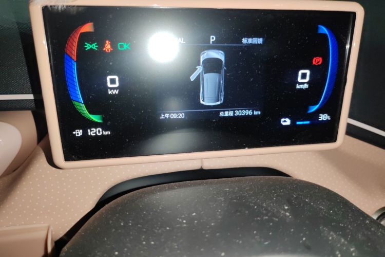 比亚迪 海鸥 2024款 荣耀版 305km 活力版中控内饰15