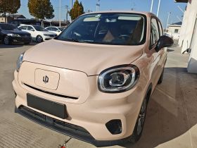 零跑汽车 零跑T03 2021款 400轻享版 磷酸铁锂