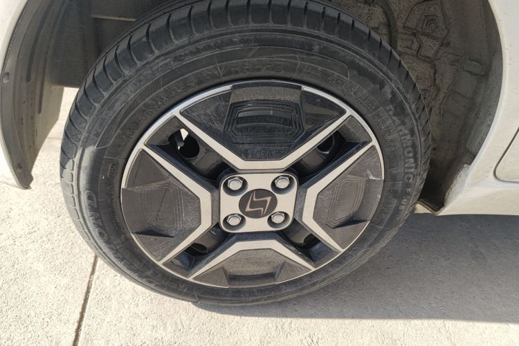 思皓 2022款 花仙子款 四叶草车身外观6008