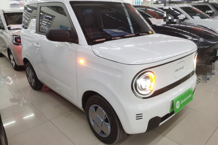 吉利银河 2024款 熊猫mini 200km 耐力熊车身外观6002