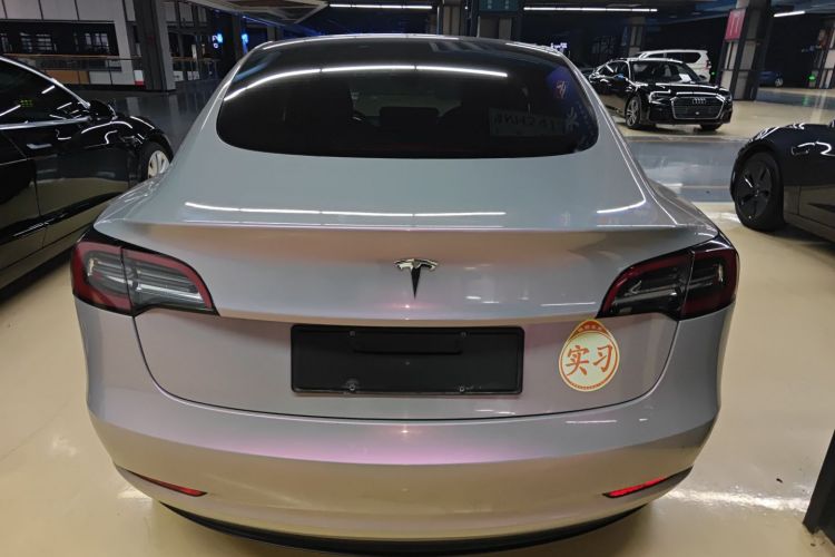 特斯拉 Model 3 2021款 标准续航后驱升级版 3D6车身外观6