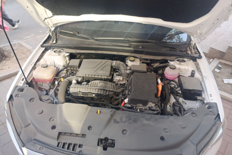 比亚迪 秦PLUS 2024款 荣耀版 DM-i 55KM领先型局部细节24