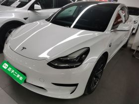 特斯拉 Model 3 2020款 改款 标准续航后驱升级版