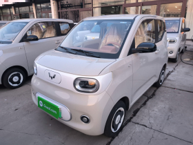 五菱汽车 宏光MINIEV 2024款 第三代 215km 青春版