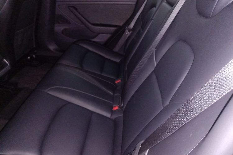 特斯拉 Model 3(进口) 2019款 长续航全轮驱动版中控内饰7004