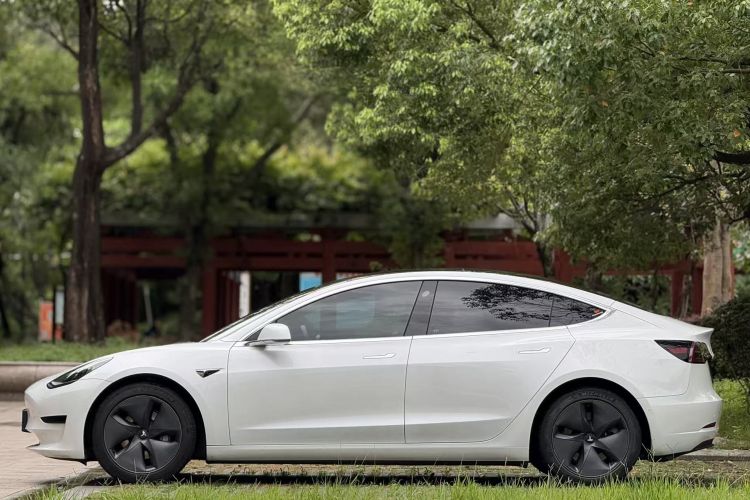 特斯拉 Model 3 2020款 改款 标准续航后驱升级版车身外观6003