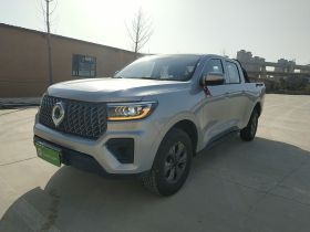 长城 炮 2023款 2.0T商用版自动汽油四驱精英型长箱GW4C20B