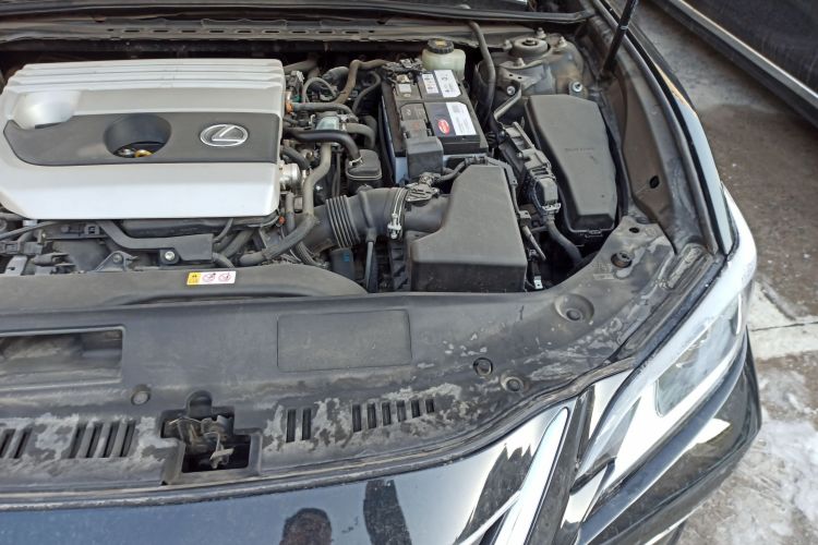 雷克萨斯ES 2020款 200 卓越版局部细节9007