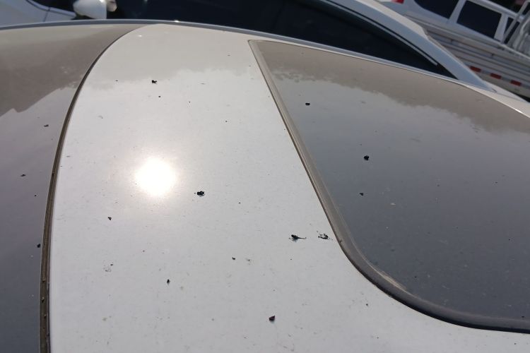 丰田 卡罗拉 2021款 1.2T S-CVT精英PLUS版局部细节57