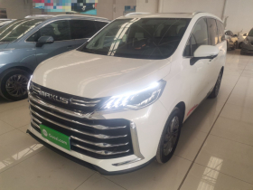 上汽大通MAXUS 大通G50 2023款 PLUS 1.5T 自动护航版