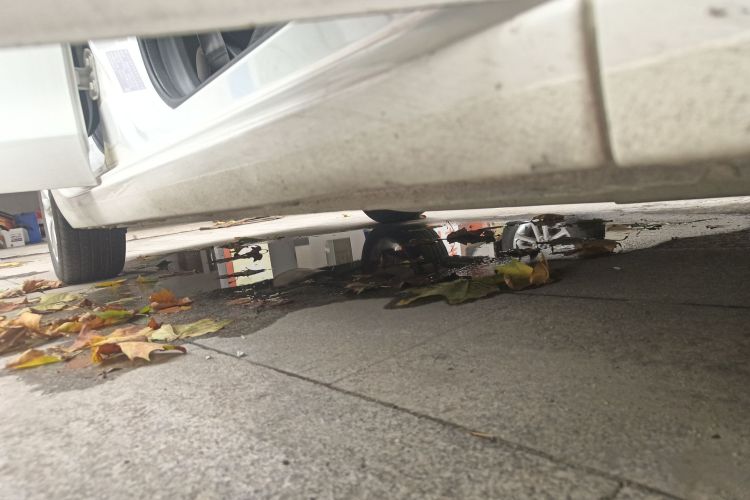 别克 英朗 2021款 改款 典范 1.5L 自动精英型局部细节9001