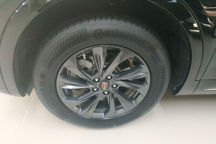 红旗HS5 2023款 2.0T 旗享Pro版车身外观6007