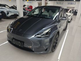 特斯拉 Model Y 2021款 长续航全轮驱动版 3D7