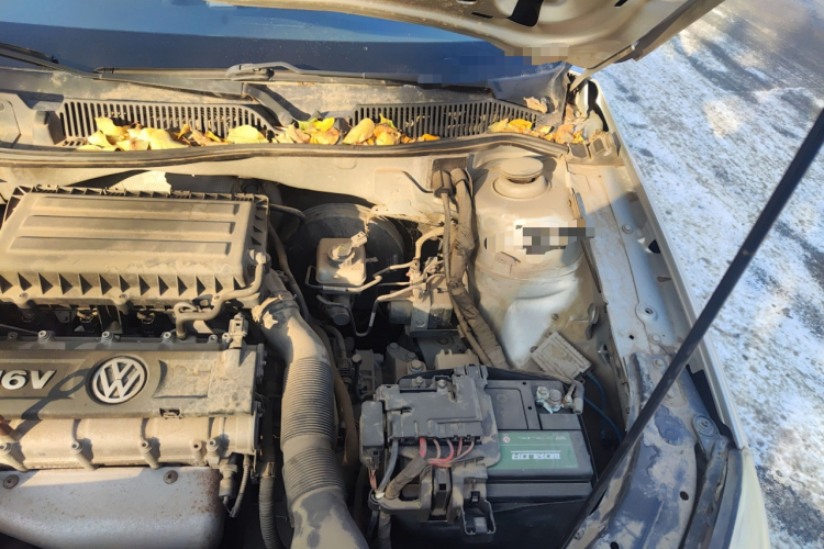 大众 朗逸 2011款 1.6L 自动品雅版局部细节9007