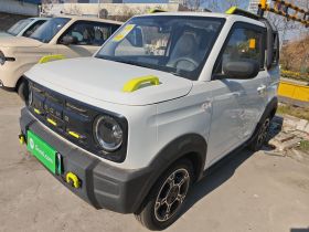 吉利银河 2025款 210km 熊猫骑士