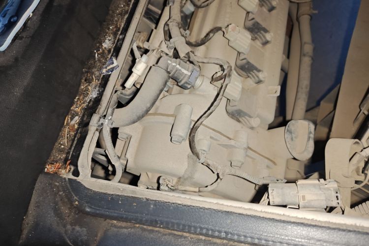 五菱汽车 五菱之光 2023款 1.5L 实用型 5/7座局部细节9003