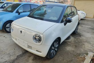 欧拉黑猫 2021款 351km 豪华型