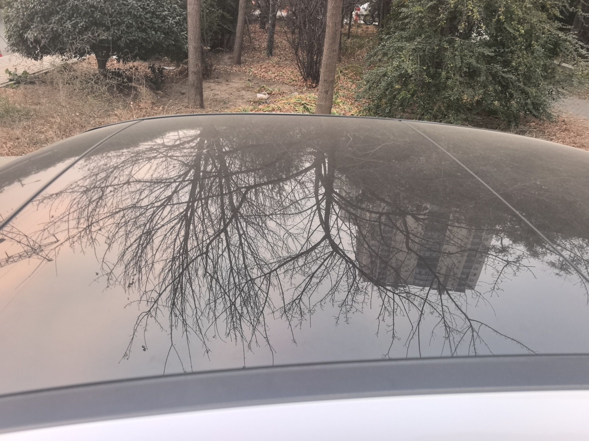 车300二手车图片