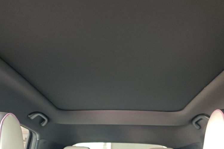 比亚迪 海豚 2021款 405km 时尚版局部细节22